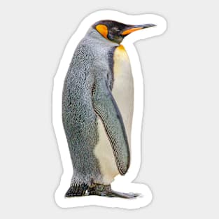 Penguin Sticker